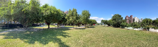壽德公園內施作並美化原有公園樣貌且不破壞生態。 圖：新北市水利局提供