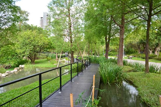 錯落的落羽松結合高架木棧道景觀台的營造設計。 圖：青年公園管理所／提供