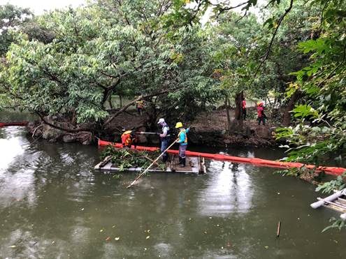 公園處進行生態島樹木修枝作業。 圖：青年公園管理所／提供