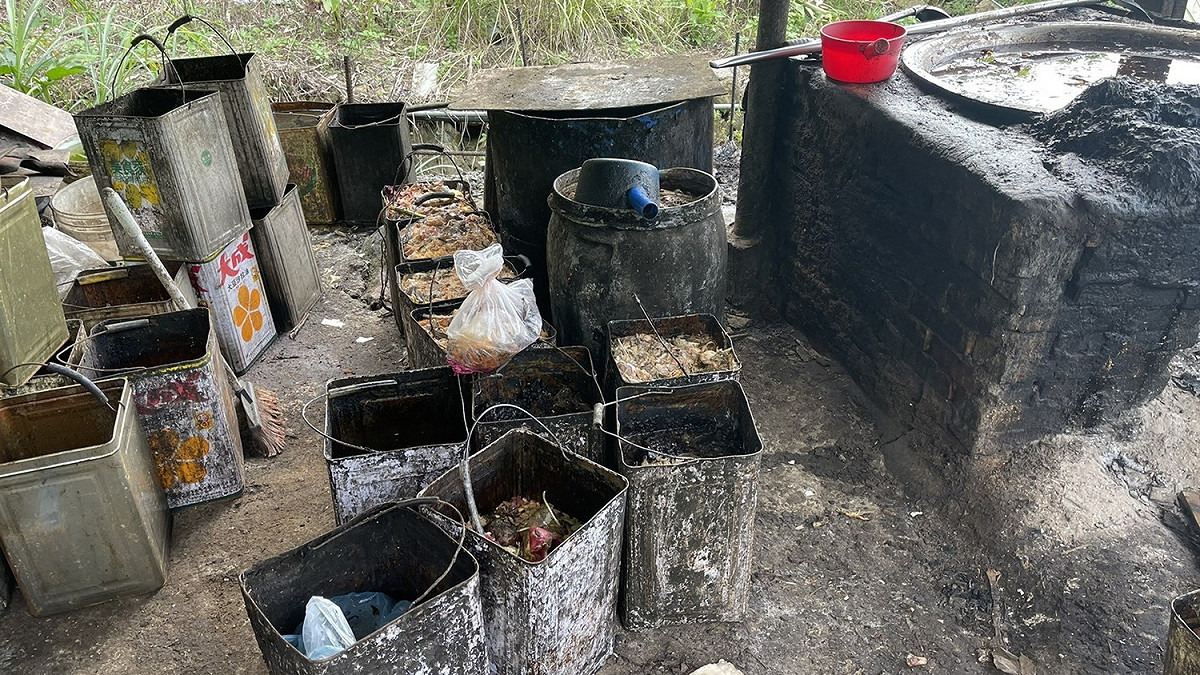 經查萬里區某養豬場飼養15頭豬隻，違法使用廚餘飼養。 圖：新北市動保處提供