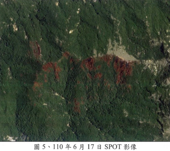 衛星影像中的鐵灰色處就是森林大火波及的範圍，延燒面積達79.7公頃。 圖：南投地檢署提供