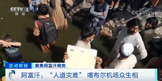 踩踏事故、缺水缺糧、哄抬物價，多國媒體都用「人道主義災難」來描述喀布爾機場的混亂。 圖：翻攝自央視
