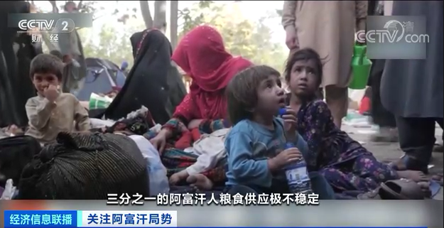 世界糧食計劃署發言人湯姆森·菲里表示，三分之一的阿富汗人糧食供應極不穩定。 圖：翻攝自央視