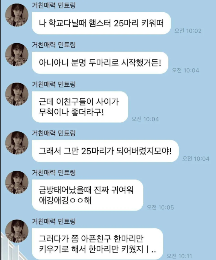 Winter在Bubble社群平台向粉絲分享自己原本養了2隻倉鼠，但因為倉鼠「感情太好」，於是從2隻變成25隻倉鼠。 圖：翻攝自韓網
