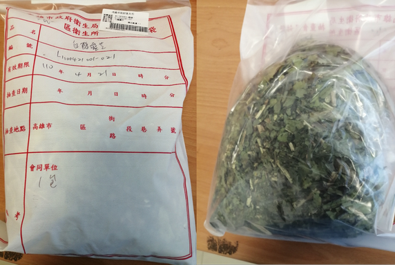被檢出農藥殘留不符規定的白鶴靈芝。 圖：高市衛生局提供