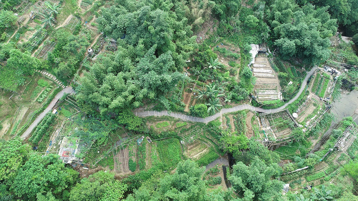 豹山溪環境整理。 圖：台北大地工程處／提供