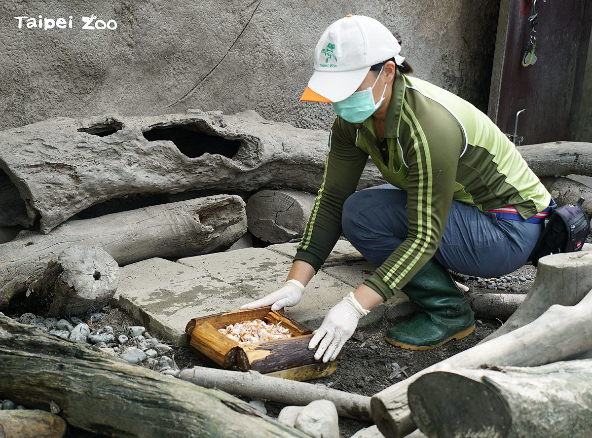 水岸餐廳又推出新的時鮮點心囉！ 圖：台北市立動物園／提供