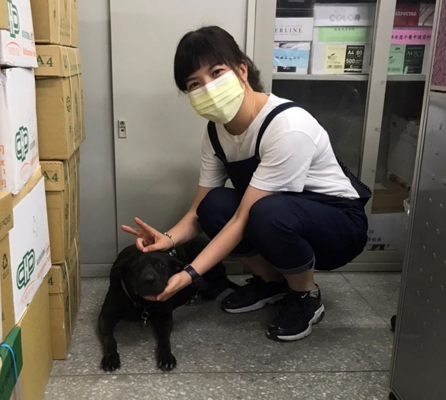 ASUS在校園裡備受師生寵愛，大家都喜歡找牠玩和傾訴心事。 圖：新北市動保處提供