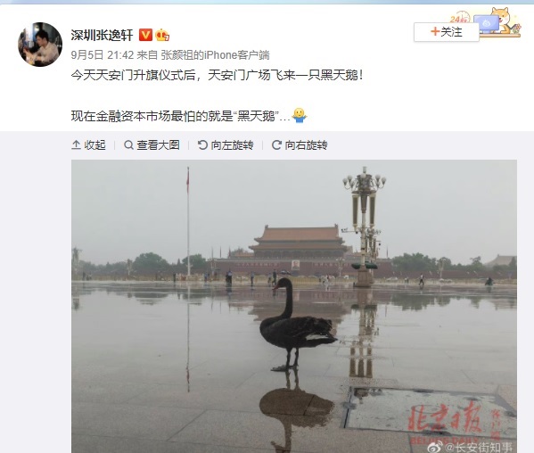 有微博網友戲稱，「現在金融資本市場最怕的就是黑天鵝」。 圖:翻攝自微博