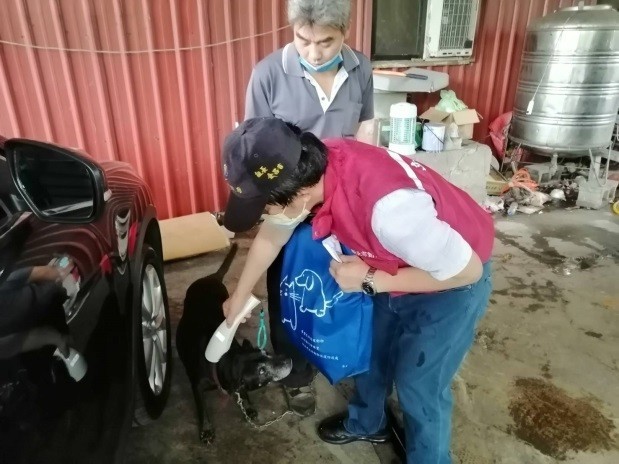 新北市動保處人員針對廠家飼養犬隻進行晶片掃描，確認是否有植入晶片與寵物登記。  圖：新北市動保處提供