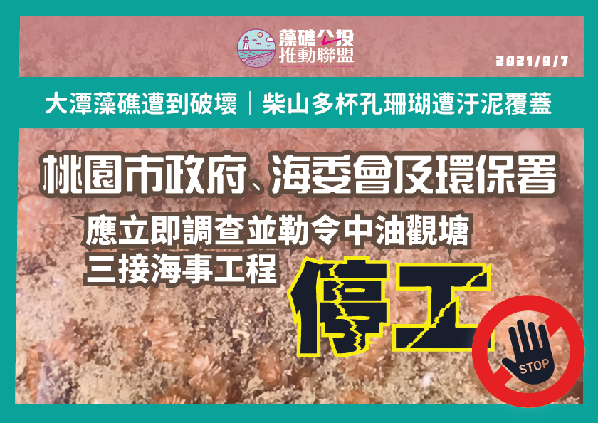 藻礁公投推動聯盟今(7)天針對大潭藻礁遭到破壞及柴山多杯孔珊瑚遭汙泥覆蓋難以存活，發表五點聲明。