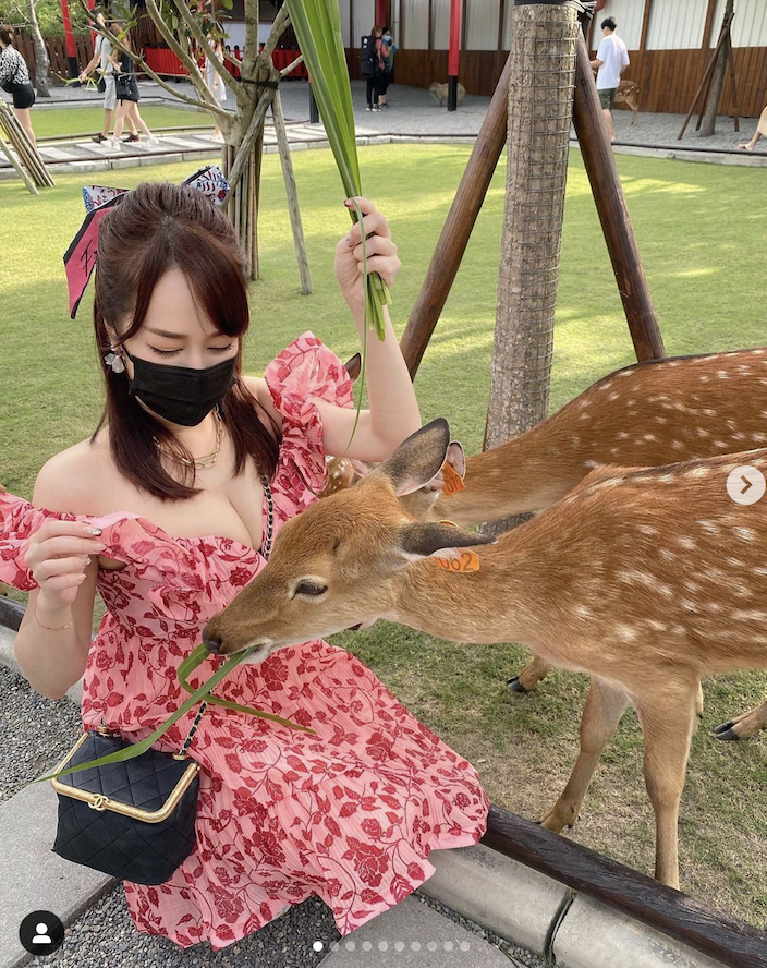 林佩瑤穿著低胸洋裝餵食梅花鹿。 圖：翻攝IG/林佩瑤