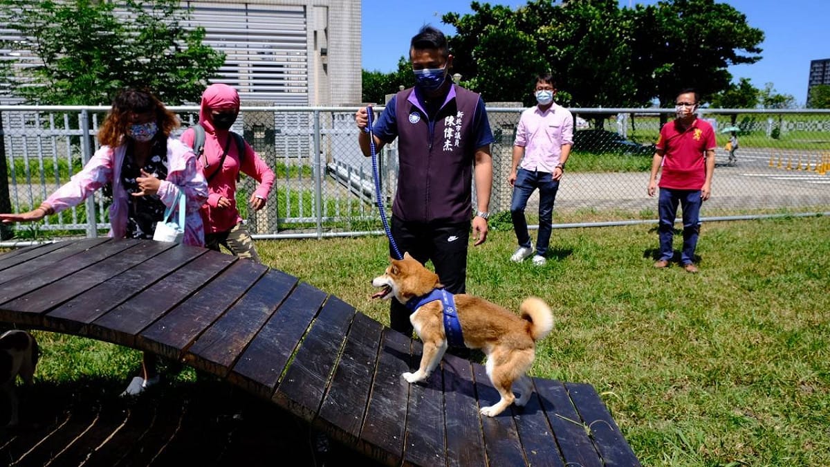 規劃微型寵物公園，並設置多樣有益寵物健康的活動設施，讓民眾與寵物不用上山下海大老遠跑到郊外做活動，只需散步到居家附近就有一起活動的環境。 圖：新北市議員陳偉杰辦公室提供