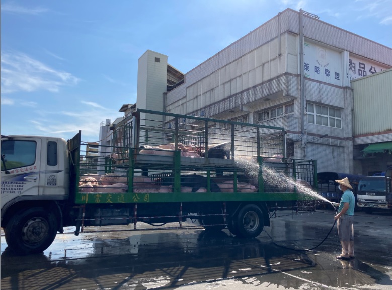 司機載運豬隻時，適時撒水降溫及給予飲水。 圖：新北市動保處提供