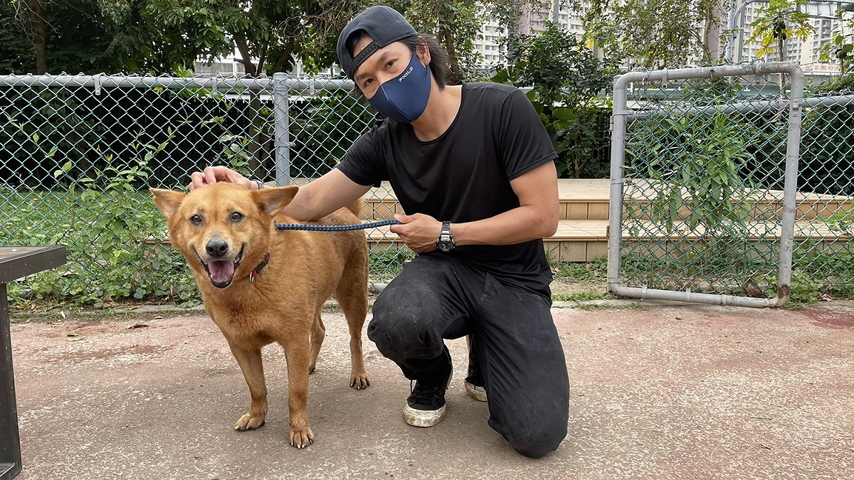王姓志工(哈姆隊長)與小鳳梨合影。 圖：新北市動保處提供