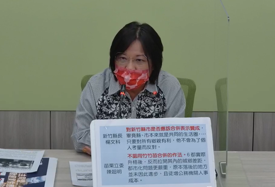 民進黨團幹事長劉世芳。 圖：民進黨團臉書