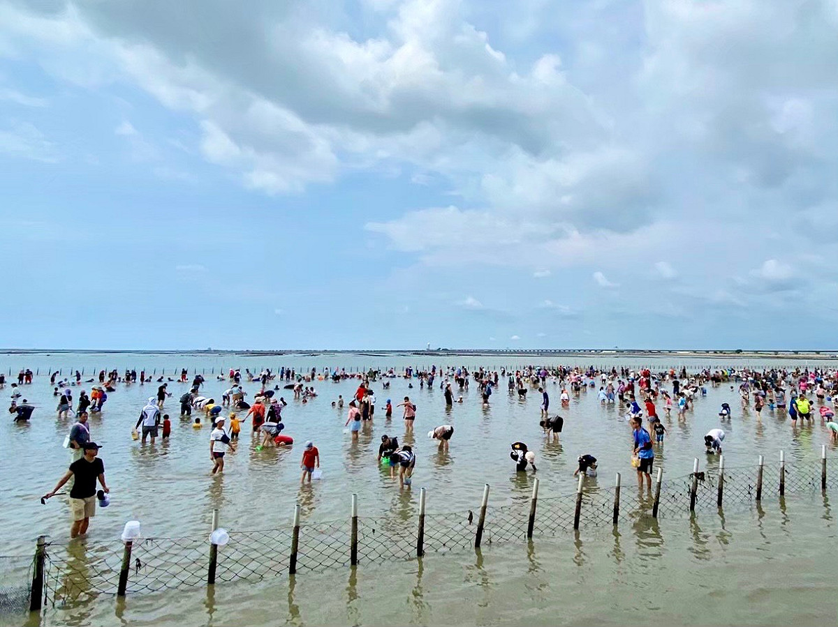 2021台南七股海鮮節於9月25日至10月16日期間舉辦。 圖：台南觀旅局／提供
