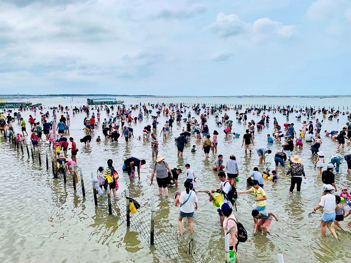 觀光赤嘴園摸文蛤體驗將於10月2日至10月3日於六孔碼頭登場。 圖：台南觀旅局／提供