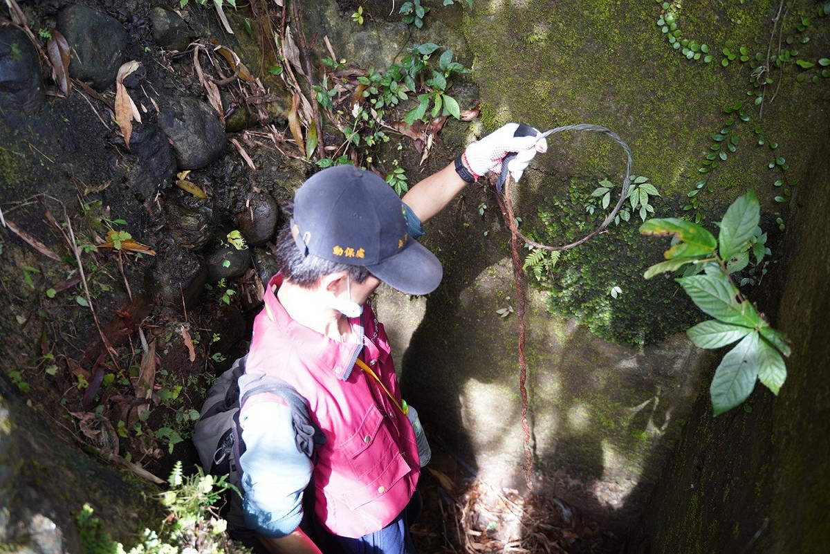 新北市動保處瑞芳區獸醫師深入坑內清除獸鋏和山豬吊等陷阱。 圖：新北市動保處提供