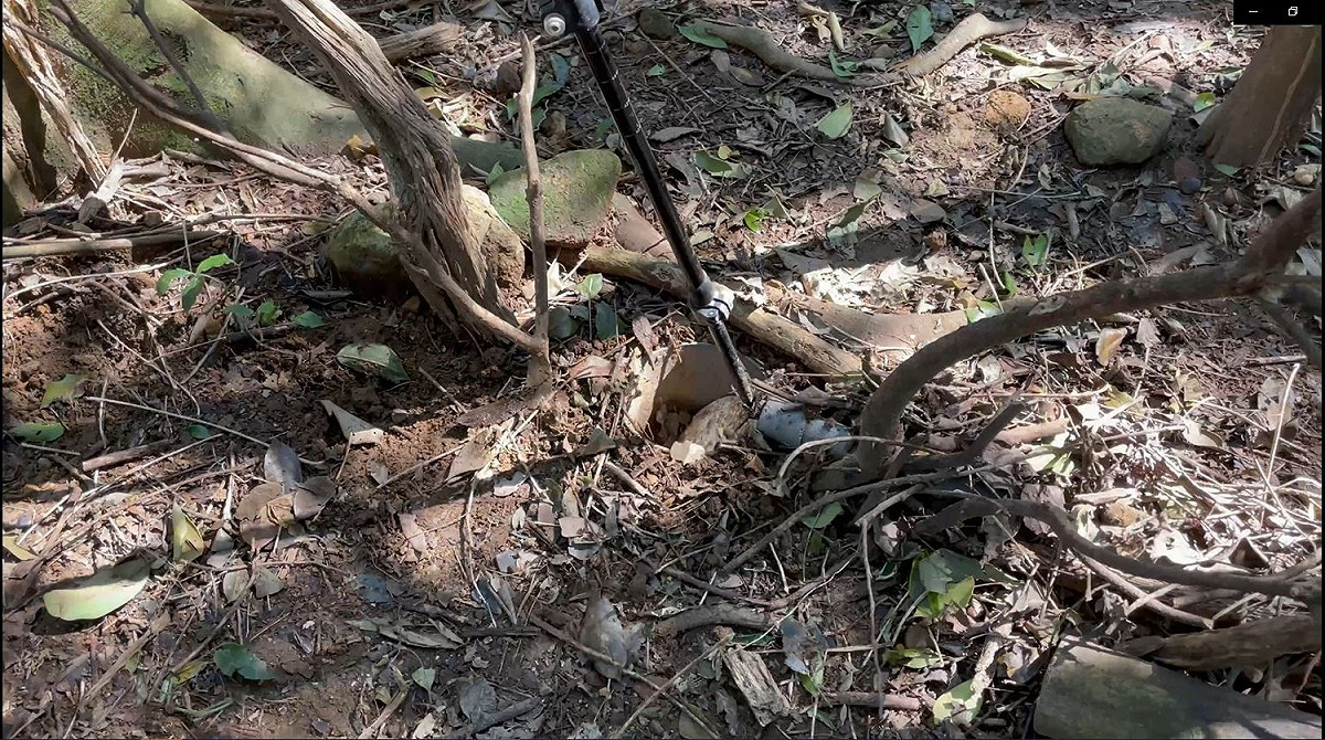 違法使用獸鋏或山豬吊捕捉動物，經查獲可處新臺幣1萬5000元以上7 萬5000以下罰鍰。 圖：新北市動保處提供