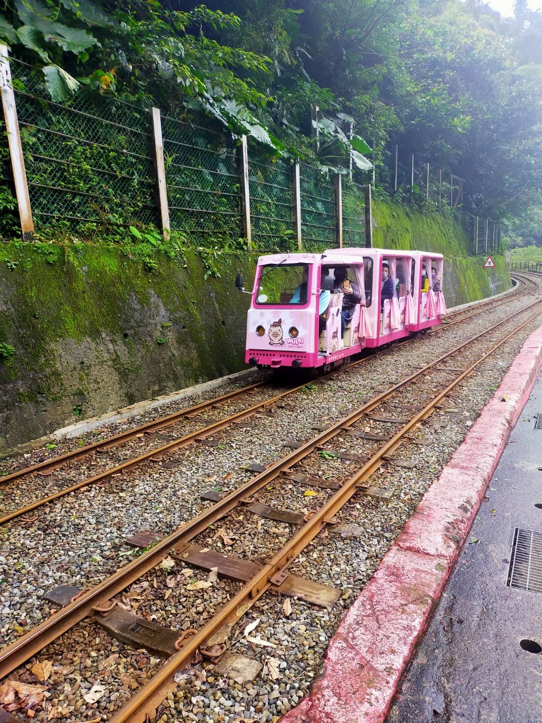 搭台車漫遊烏來山城。 圖：新竹林管處／提供