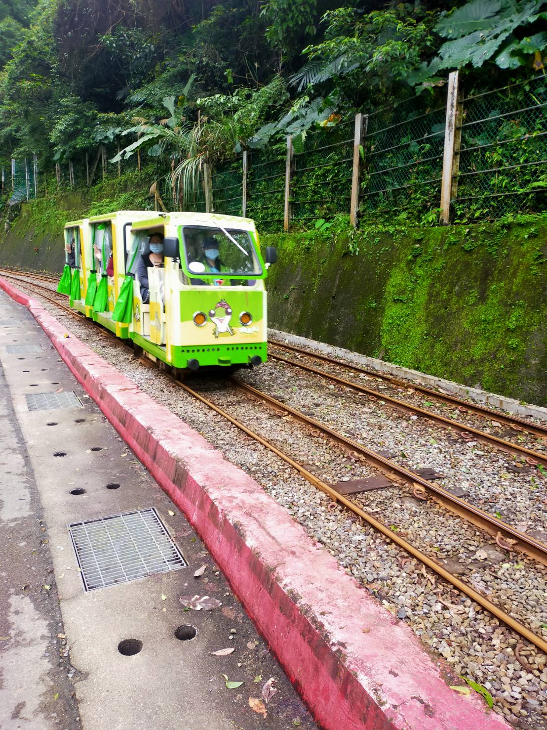 烏來台車已重新開放。 圖：新竹林管處／提供