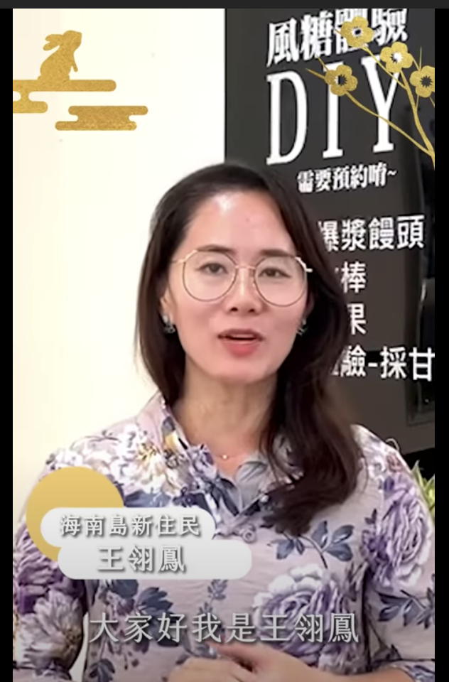 海南島新住民王翎鳳 圖：翻攝蔡英文IG