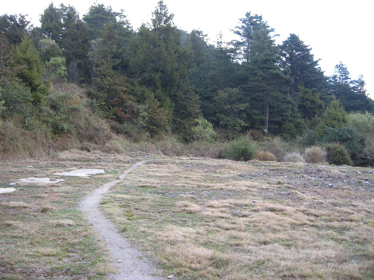 觀高停機坪 圖:玉山國家公園臉書