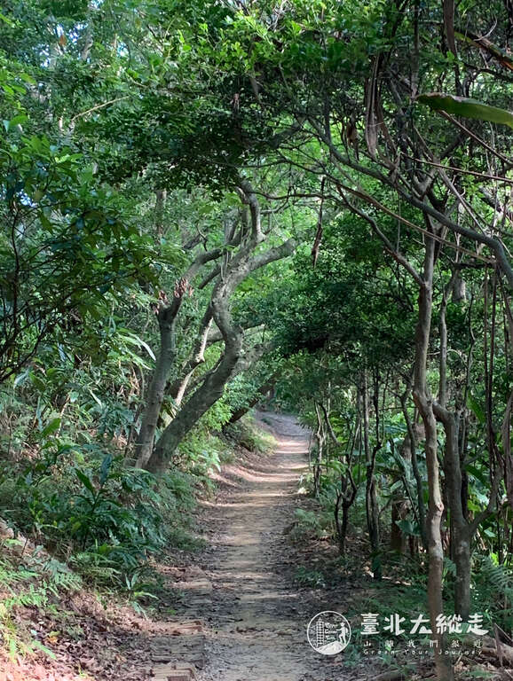 來趟臺北大縱走，走進山林的懷抱，感受沁心涼意。 圖：台北觀傳局／提供