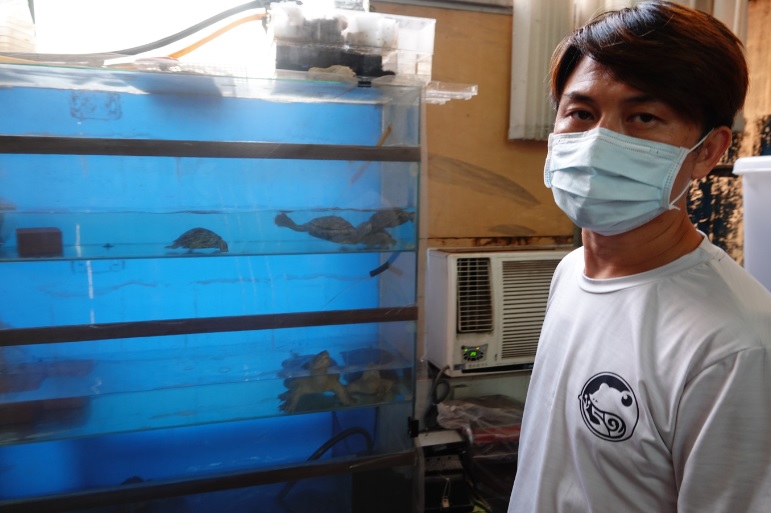 顏端佑老師照養水龜的區域。 圖：新北市動保處提供