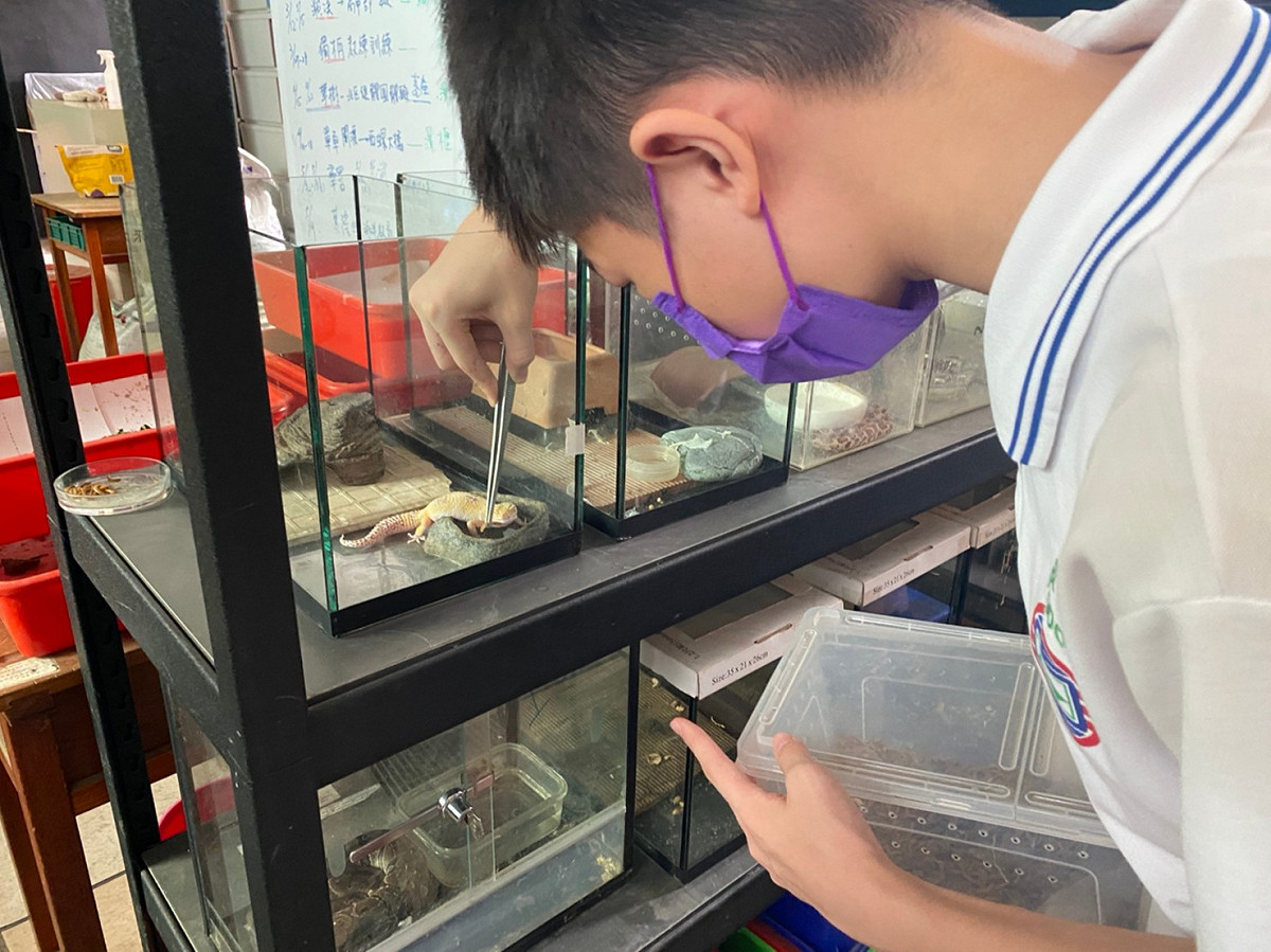 學生透過親自餵養，除了培養自己的責任心，也發掘自己的興趣所在。 圖：新北市動保處提供