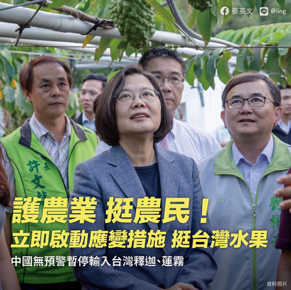 台灣民意基金會董事長游盈隆指，受到中國禁止台灣釋迦蓮霧，總統蔡英文聲望微幅上升。 圖：總統蔡英文臉書