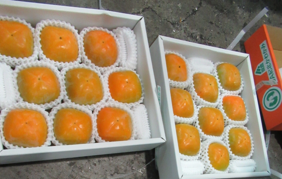 日本出口之和歌山鮮柿子被驗出農藥殘留量超標。 圖：食藥署／提供