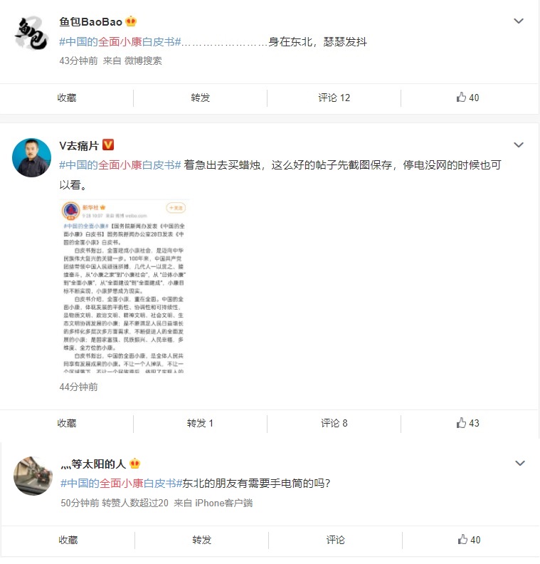 中國網友紛紛吐槽全面小康白皮書。 圖:翻攝自微博