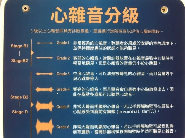 運用聽診可以判讀心雜音，以評估心臟病階段。 圖：新北市動保處提供