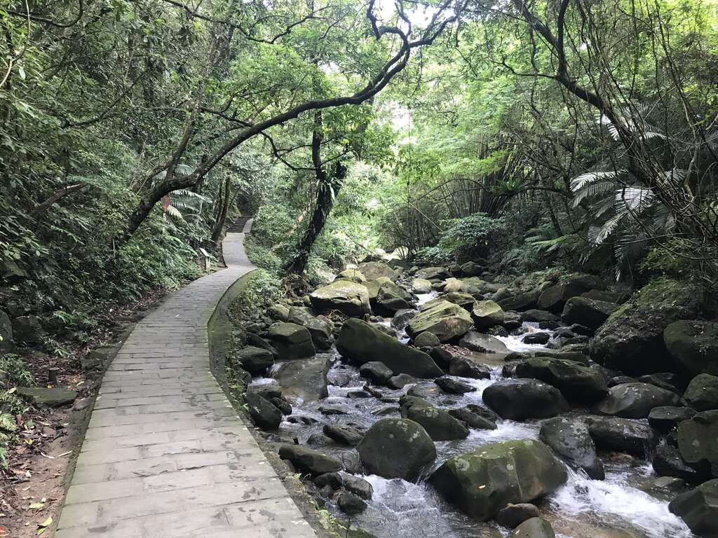 大溝溪上游保留自然溪谷溪床上可見大小石頭十分自然。 圖：台北大地處／提供