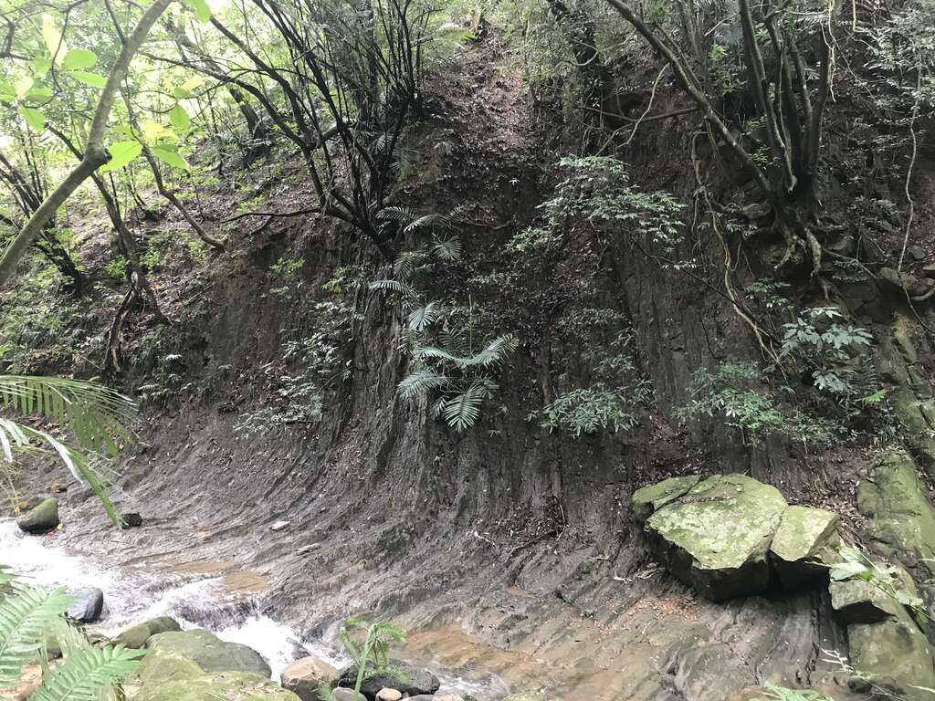 大溝溪治水園區入口廣場貓頭鷹石雕。 圖：台北大地處／提供