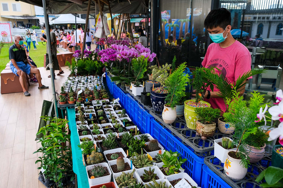 五穀豐收好個秋 屏東可可園區露天市集邀民眾同樂 圖:屏東縣客家事務處提供