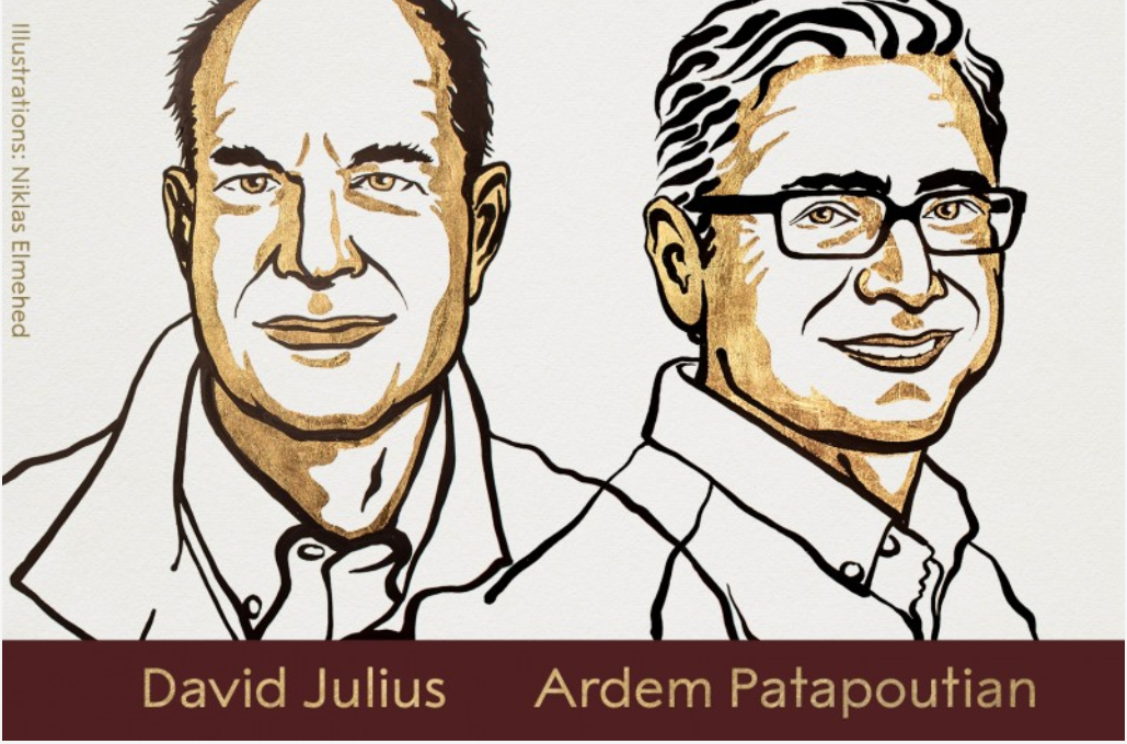2021諾貝爾醫學獎得主:朱利雅斯（David Julius）、帕塔普蒂安（Ardem Patapoutian） 圖：諾貝爾獎twitter