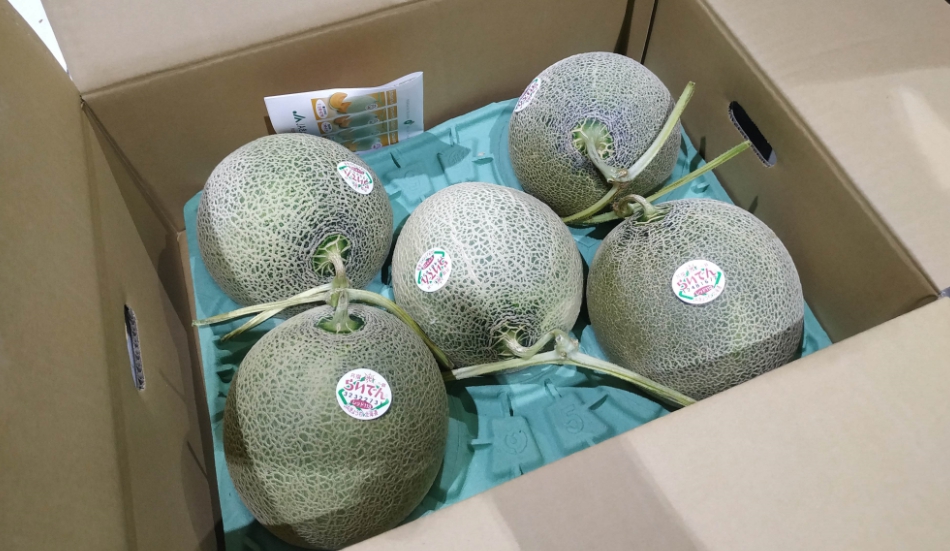 日本北海道蜜瓜驗出農藥撲滅松殘量量超標。 圖：食藥署／提供