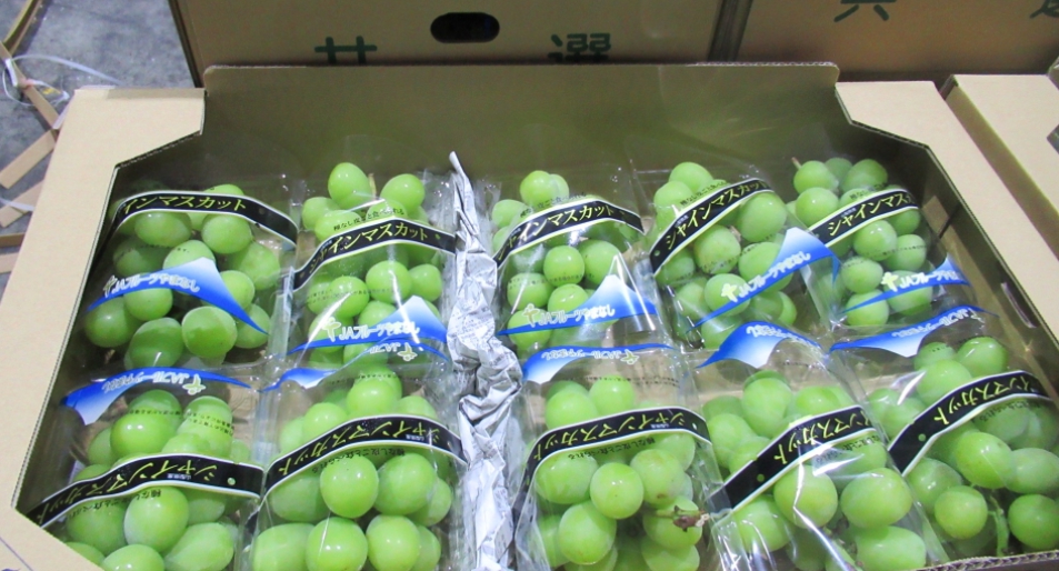 日本山梨葡萄驗出農藥殘留量超標。 圖：食藥署／提供