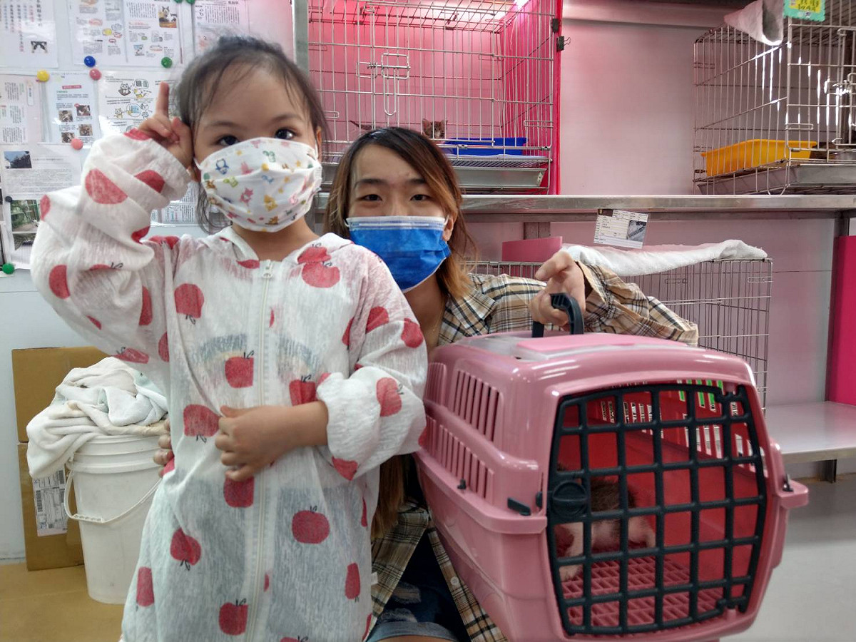 飼主準備硬殼式提籠認養貓咪避免脫逃。 圖：新北市動保處提供
