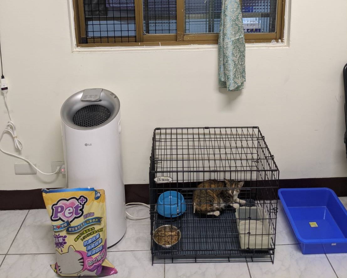 認養前確認家中飼養環境可提供適當隔離空間。 圖：新北市動保處提供