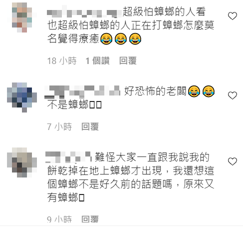 關韶文怕蟑螂的逗趣模樣引起討論。 圖：翻攝自關韶文IG