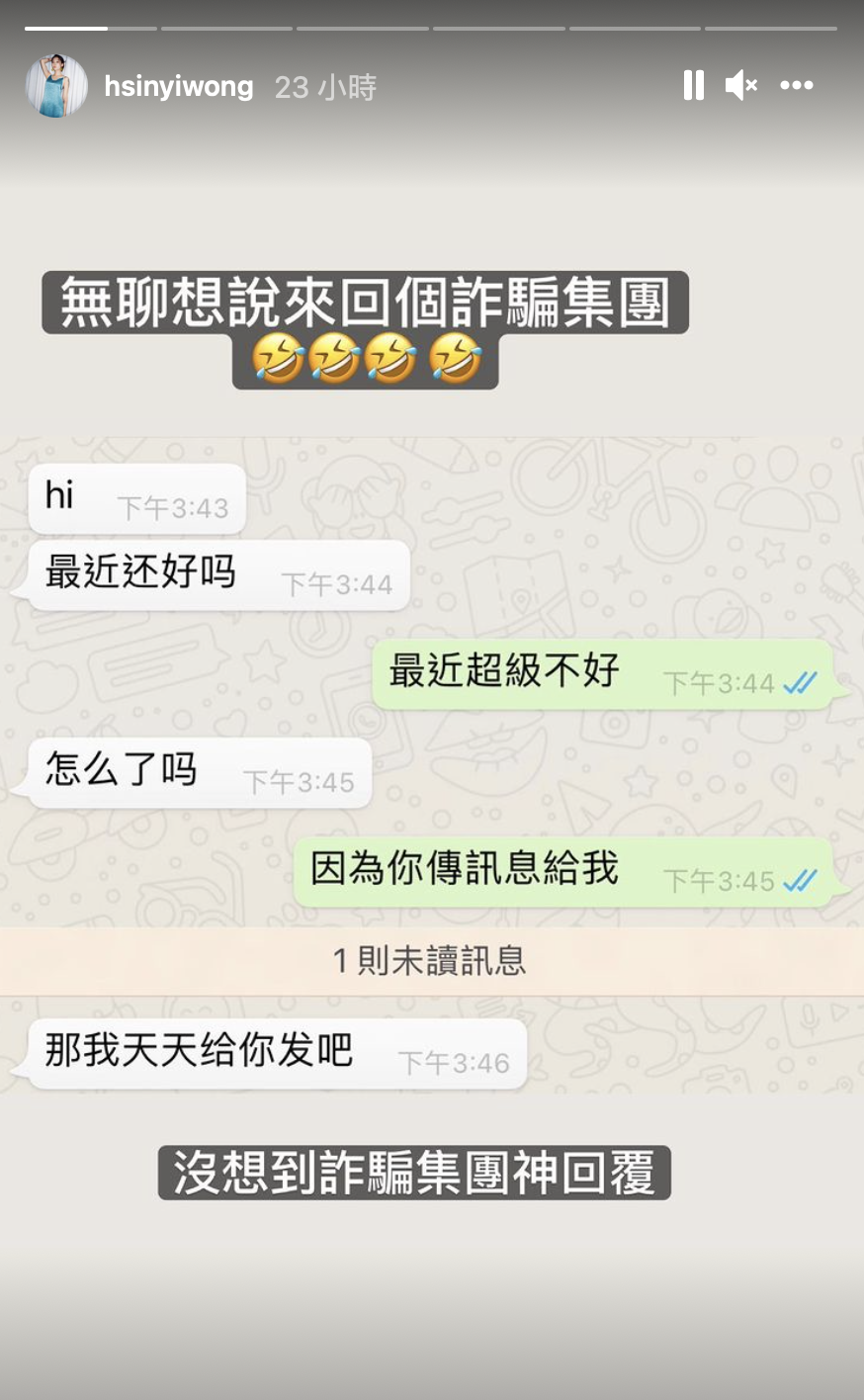 翁馨儀發出與詐騙集團的對話。 圖：翻攝IG/翁馨儀