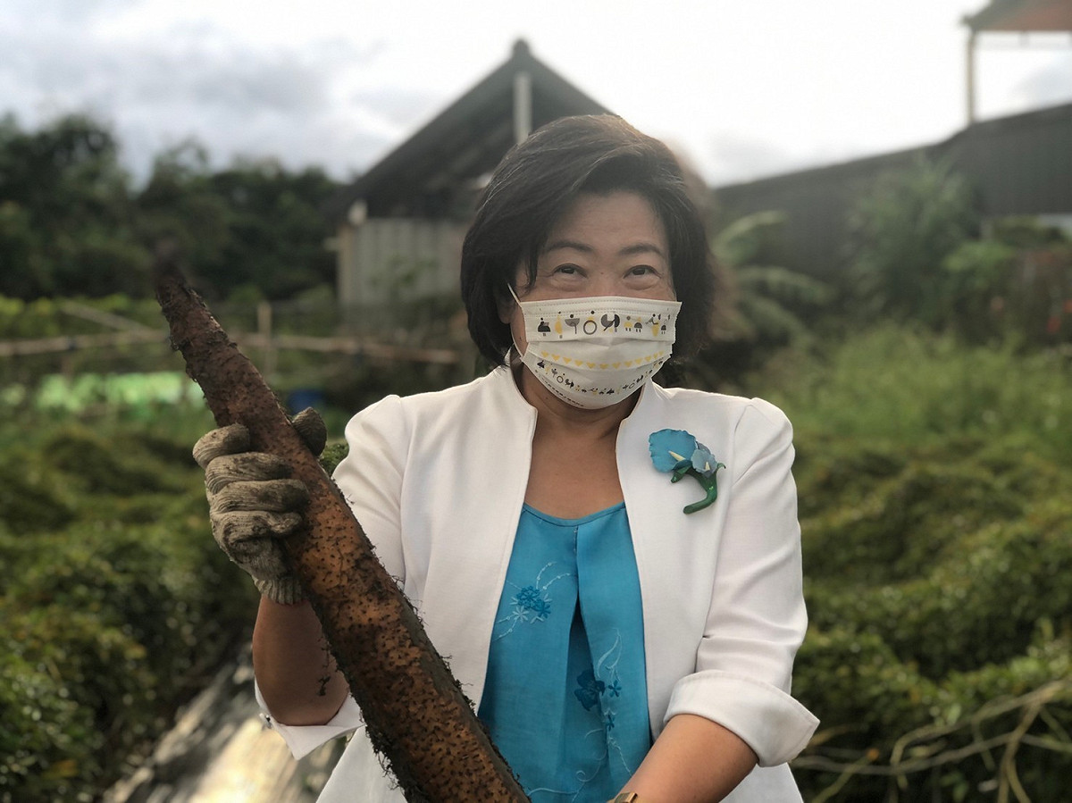性平議題專家黃瑞汝體驗採收山藥。 圖：新北市農業局提供