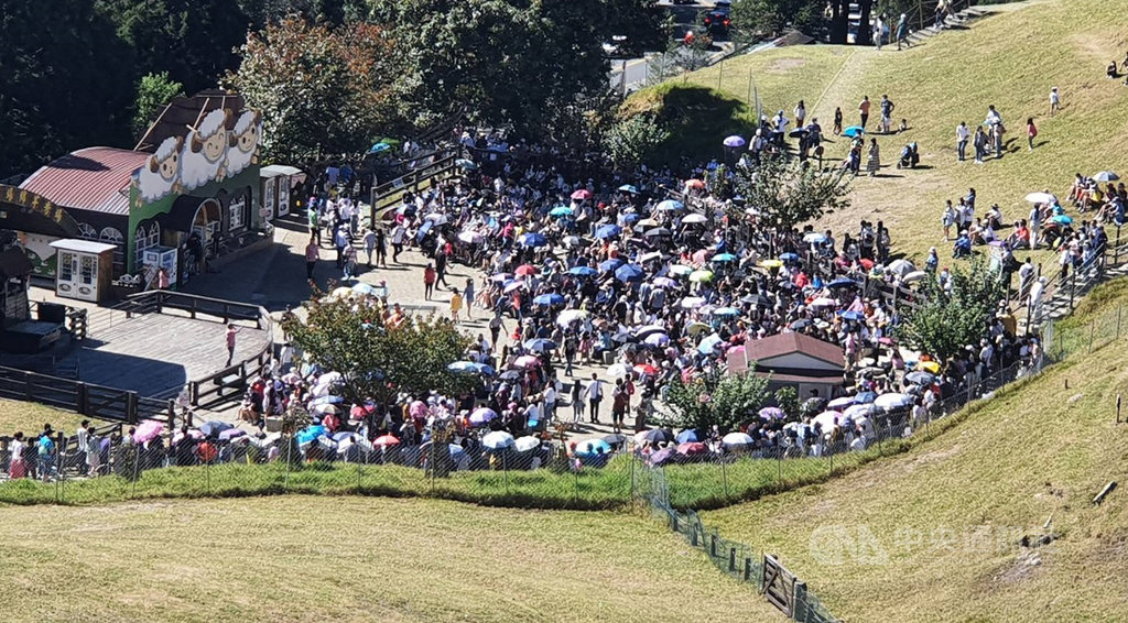 南投知名景點清境農場10日入園達8369人次，創今年最高單日人次，園方指出，應與國內COVID-19疫情趨緩、政府發放振興五倍券等因素有關。 圖：清境農場提供