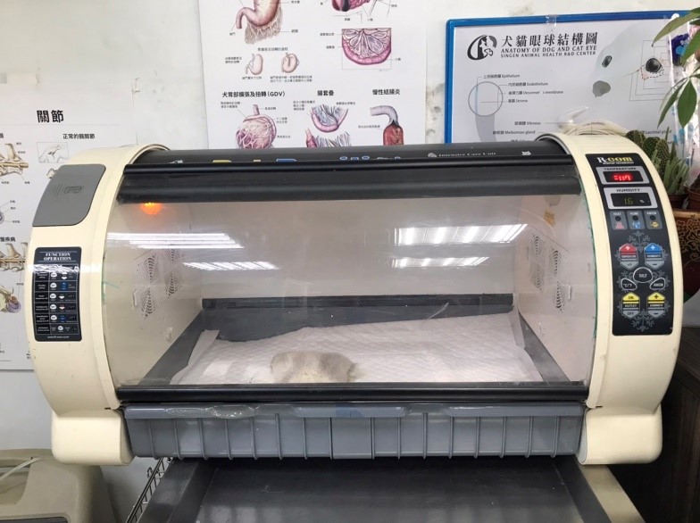 ICU氧氣病房能偵測維持溫度、濕度、氧氣和二氧化碳濃度。 圖：新北市動保處提供