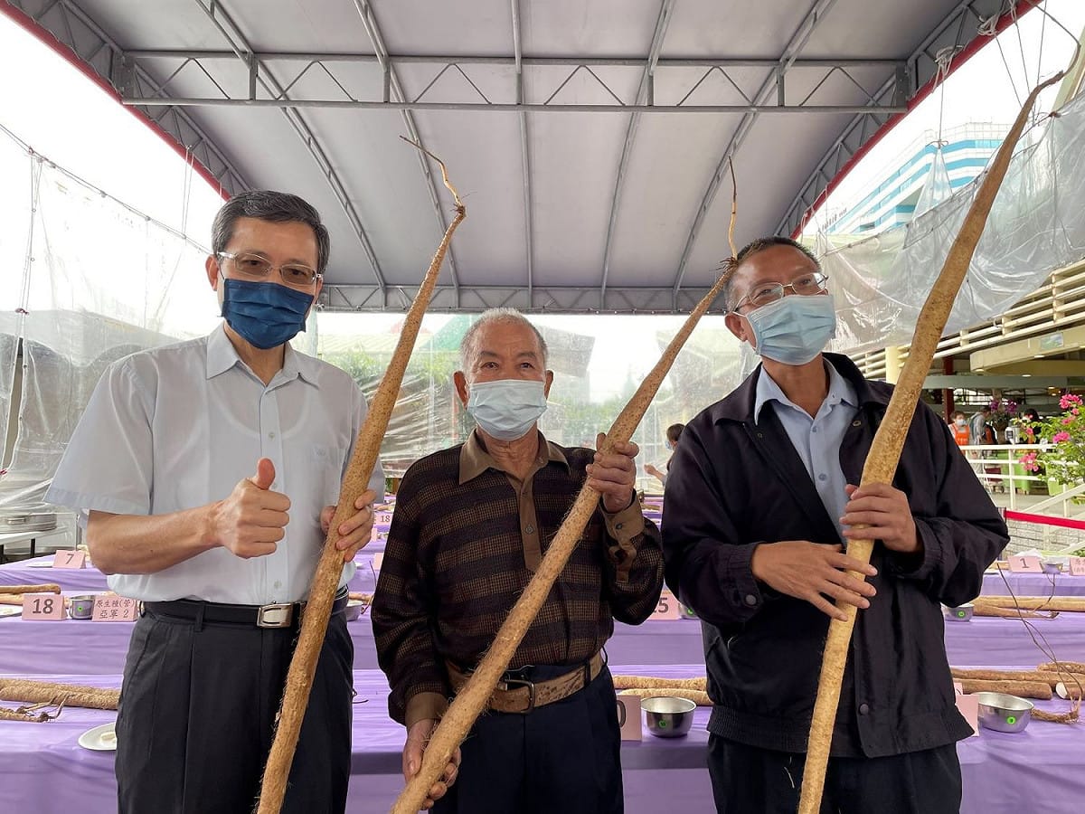原生種(穴管栽培)組冠軍吳幸男(中)展示今年得獎的金牌山藥，左為新北農業局施得仰主任秘書、右為三芝區農會推廣部主任周正男。 圖：新北市農業局提供