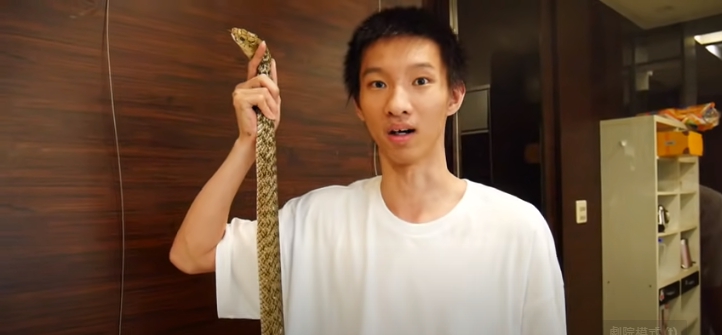 Youtuber「小玉」涉嫌利用名人臉製作成人影片牟利遭逮捕。 圖：翻攝自小玉Youtube